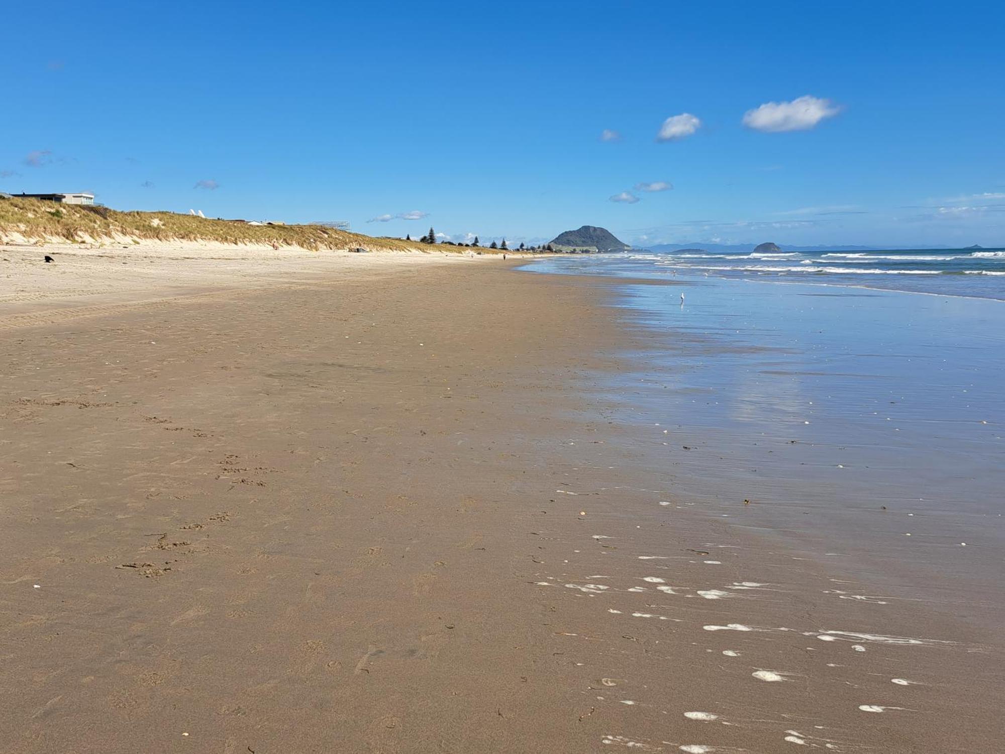 Sunbrae Beach Sands Y Mount Maunganui Exterior foto